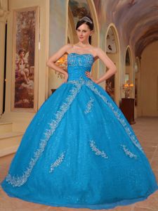 Sweetheart Organza Embroidered Beaded Quinceanera Dress in Teal in Poulsbo