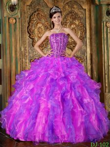 Multi-Colored Strapless Organza Beaded Ruffled Quinceanera Dress in Fairfax