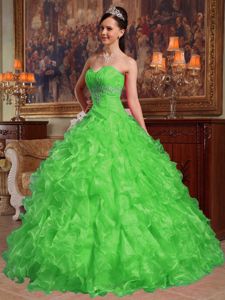 Green Sweetheart Organza Quinceanera Dress with Beading in Fredericksburg VA