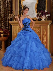 Sweetheart Organza Appliqued Quinceanera Dress in Blue in Salt Lake City UT