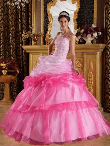 Romantic One Shoulder Organza Appliqued Quince Dress with Beading in Tyler