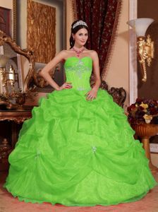 Spring Green Sweetheart Organza Quinceanera Dress with Beading in Victoria