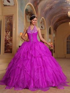 Halter Floor-length Organza Embroidered Quinceanera Gown in Fuchsia