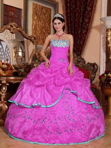 2013 Pink Strapless Applique Quinces Dresses in Barranca Costa Rica