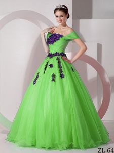 Off The Shoulder Spring Green Floor-length Quinces Dresses with Appliques