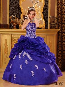 Purple Strapless Organza Appliques and Pick-ups Quinceanera Dress in Charlotte