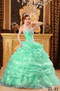 Apple Green Ball Gown Sweetheart Organza Appliques Quinceanera Dress