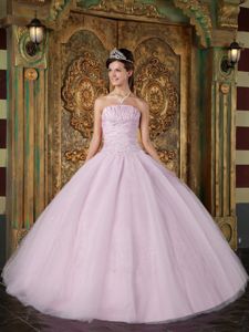 Light Pink Ball Gown Strapless Appliques Tulle Sweet Sixteen Dresses in Cary
