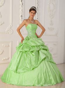 Spring Green A-Line Strapless Taffeta Beading Quinceanera Dress in Rochester