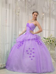 Lilac Ball Gown Sweetheart Organza Appliques Quinceanera Dress in Bronx