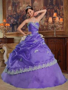 Purple Sweetheart Appliques Organza Quinceanera Gown Dresses in Albany