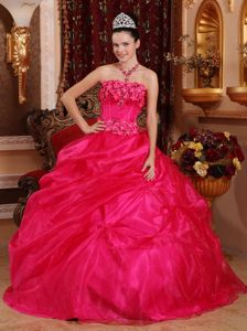 Coral Red Ball Gown Strapless Organza Sweet Sixteen Dresses with Appliques