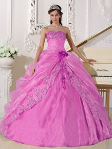 Pink Ball Gown Strapless Organza Embroidery with Beading Quinceanera Dress
