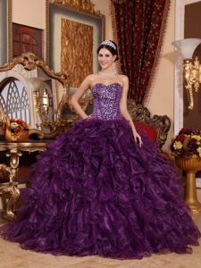 2014 Purple Ball Gown Sweetheart Organza Sequins Quinceanera Dress in Fort Lee