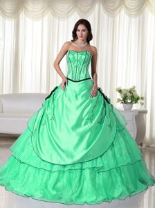 Organza Apple Green Strapless Dresses for Quince with Embroidery in Boulder
