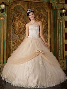 Champagne Strapless Quinceanera Gown with Appliques and Lace in Corona