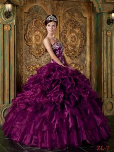 Strapless Floor-length Quinceanera Gown in Eggplant Purple with Appliques