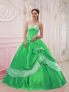 Appliqued Spring Green Beaded Sweetheart Dress for Quinces in Stuart