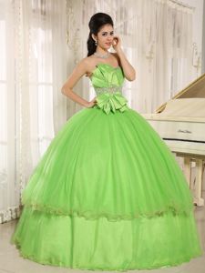 Special Spring Green Sweetheart Long Sweet Sixteen Dresses with Bowknot