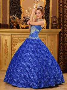 Rolling Flowers Quince Dresses in Blue with Appliques near Hurricane