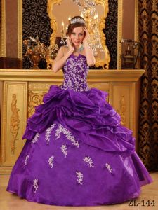 Floral Embroidery and Pick Ups Decorated Quinces Dresses in Carnation