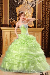 Pick Ups and Appliques Yellow Green Puffy Quinceanera Dress in Chelan