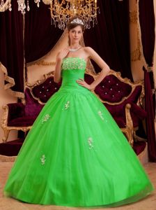 High End Appliques and Ruching Dress For Quince in Green in Cheney