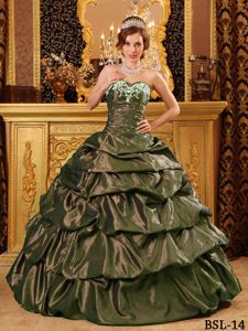 Embroidery Ruche and Pick Ups Ball Gown Sweet 16 Dresses in Yelm