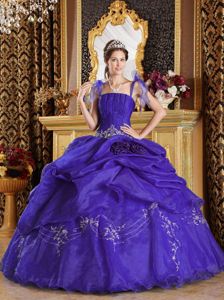 Straps Quinceanera Dresses with Embroidery Flower and Pick Ups for Lady