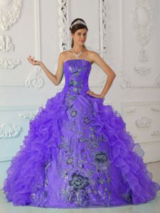Floral Appliques and Ruffles Decorated Dress For Quinceaneras in Walla Walla