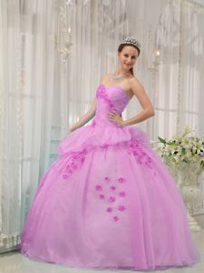 Floral Appliques and Ruche Decorated Dress For Quinceanera in Vancouver