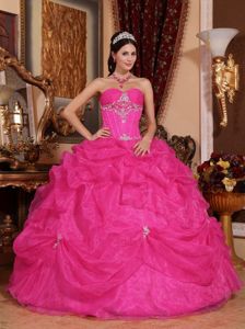 Hot Pink Dress For Quinceanera with Pick Ups and Appliques in Lynnwood