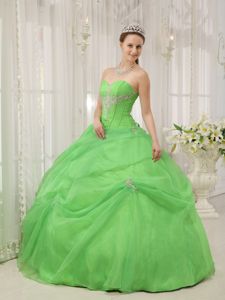 Beaded Appliques Decorated Spring Green Sweet Sixteen Quinceanera Dress