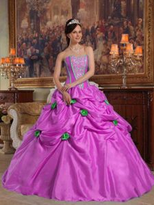 Pick Ups and Handle Flowers Puffy Quinceaneras Dress near Des Moines