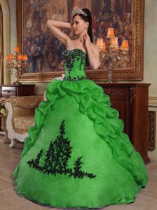 Pick Ups and Appliques Decorated Green Quinceanera Gown in Bothell