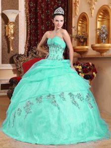 Sweetheart Apple Green Quinceanera Dress with Appliques in Glendale