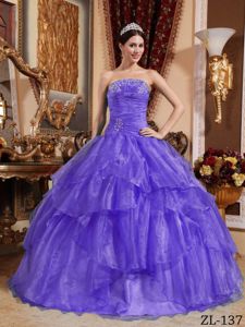 Ruffled and Ruched Strapless Dresses for Quince in Purple in Lafayette