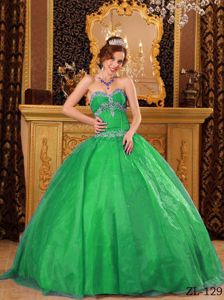 Simple Sweetheart Organza Appliques Green Quinceanera Dress in Green Bay WI