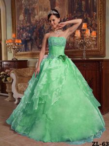 Strapless Organza Beading and Hand-made Flower Green Quinceanera Dress