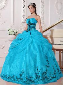Strapless Aqua Blue Organza Quinceanera Dress with Appliques 2013 on Sale