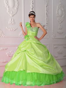 Discounted Spring Green One Shoulder Beading and Flower Quinceanera Dress