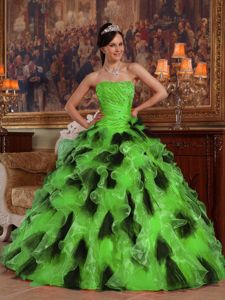 Strapless Floor-length Spring Green Organza Quinceanera Dress with Ruffles
