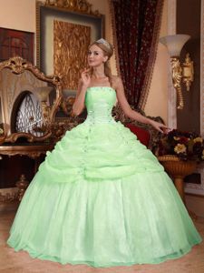 Apple Green Strapless Organza Quinceanera Dress with Appliques in Las Cabras