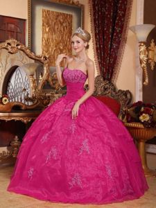 Hot Pink Strapless Floor-length Quince Dress with Appliques in Calle Larga