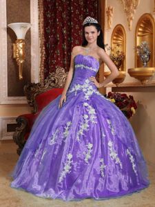 Strapless Floor-length Organza Quinceanera Dress with Appliques in Los Andes