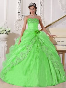 Spring Green Strapless Embroidered Quince Dress with Beading in Concon