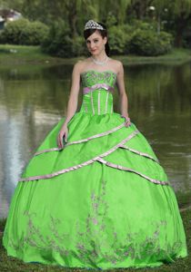 Taffeta and Satin Embroidered Green Quinceanera Gowns in Mejillones Chile