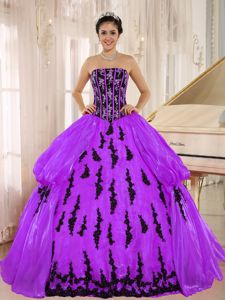 Purple Strapless Embroidered Quinceanera Gown Dress in Chuquicamata Chile