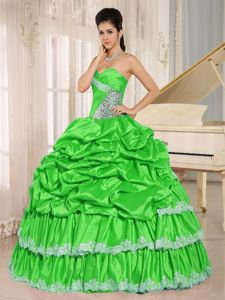 Spring Green Beaded Appliqued Quinceanera Dress with Pick-ups in Calama