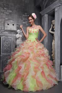 Strapless Hand Flowery Quinceanera Gown Dress in Multi-color in Waco